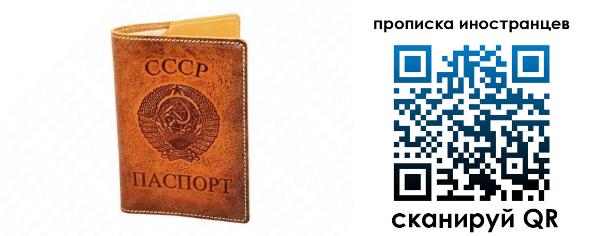 прописка для школы в Камчатском крае